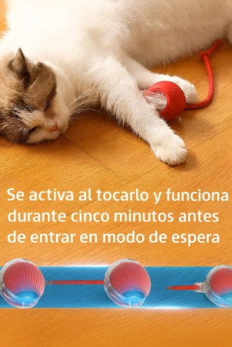 🐾 PetRoll | Pelota Interactiva para Mascotas